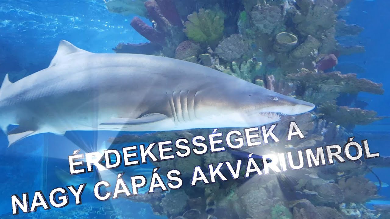 Tropicarium Budapest