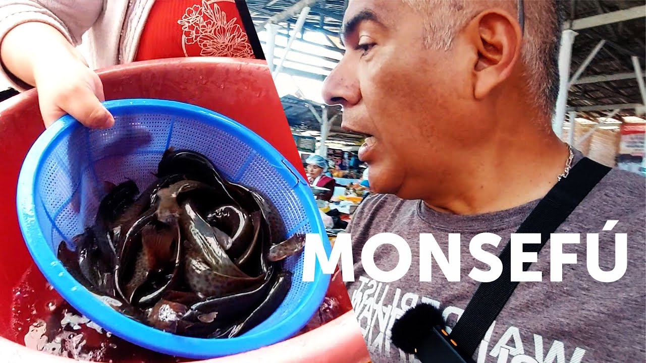 Conociendo el Life Monsefuano | MONSEFÚ - CHICLAYO