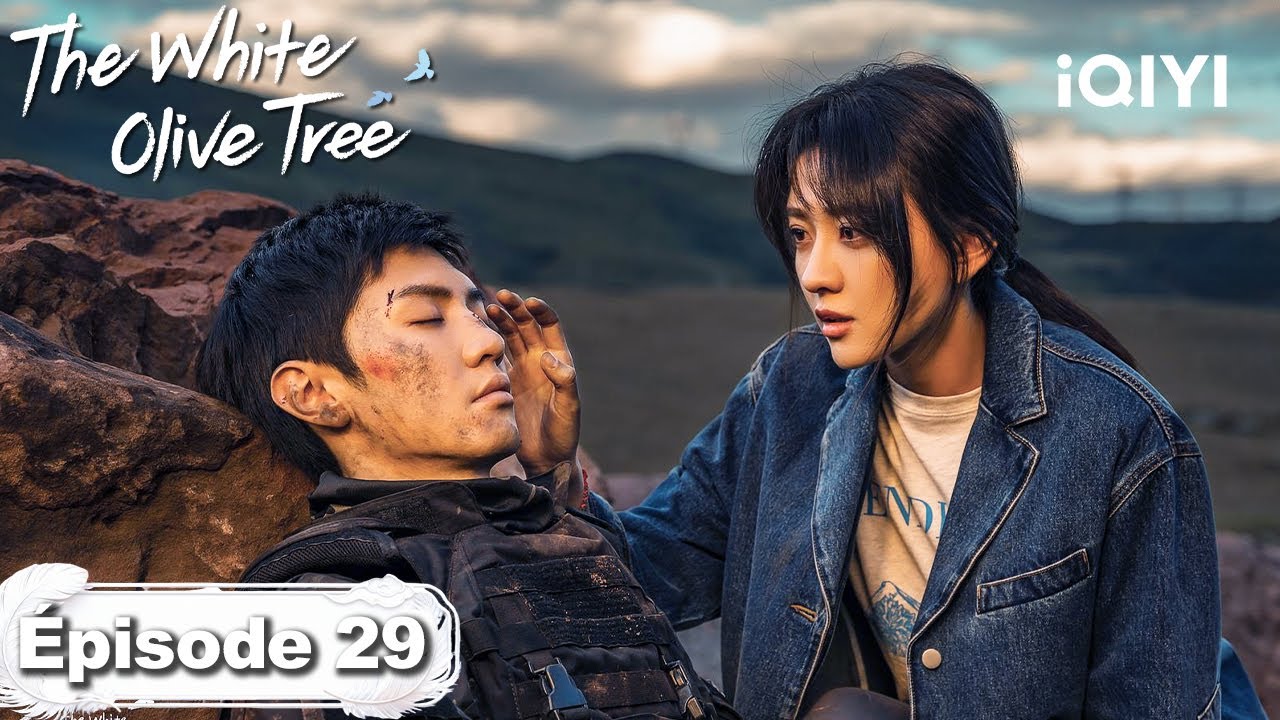 【VOSTFR | FULL】🍃The White Olive Tree EP29 | iQIYI France #白色橄榄树 #iQIYI #chenzheyuan #liangjie