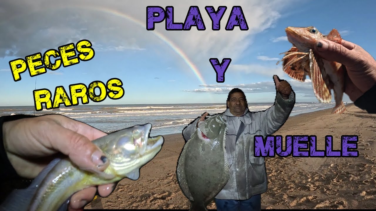 TRES EN UNO