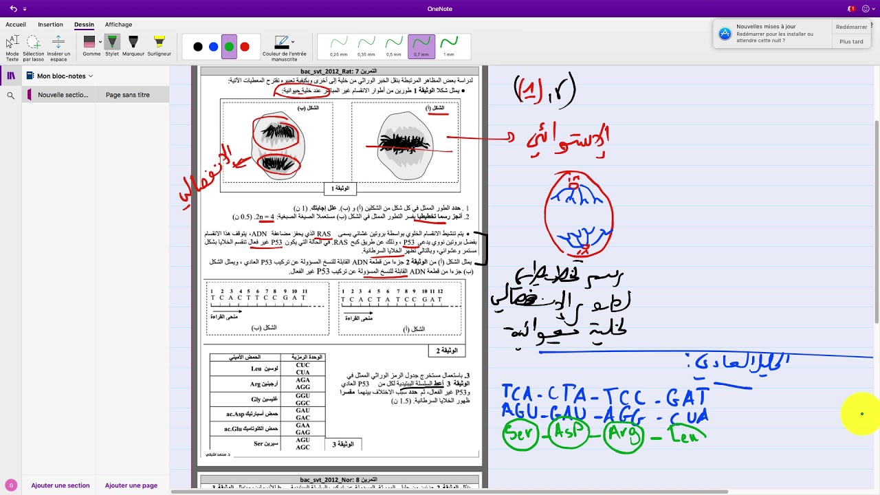 تمارين مقترحة في الخبر الوراتي