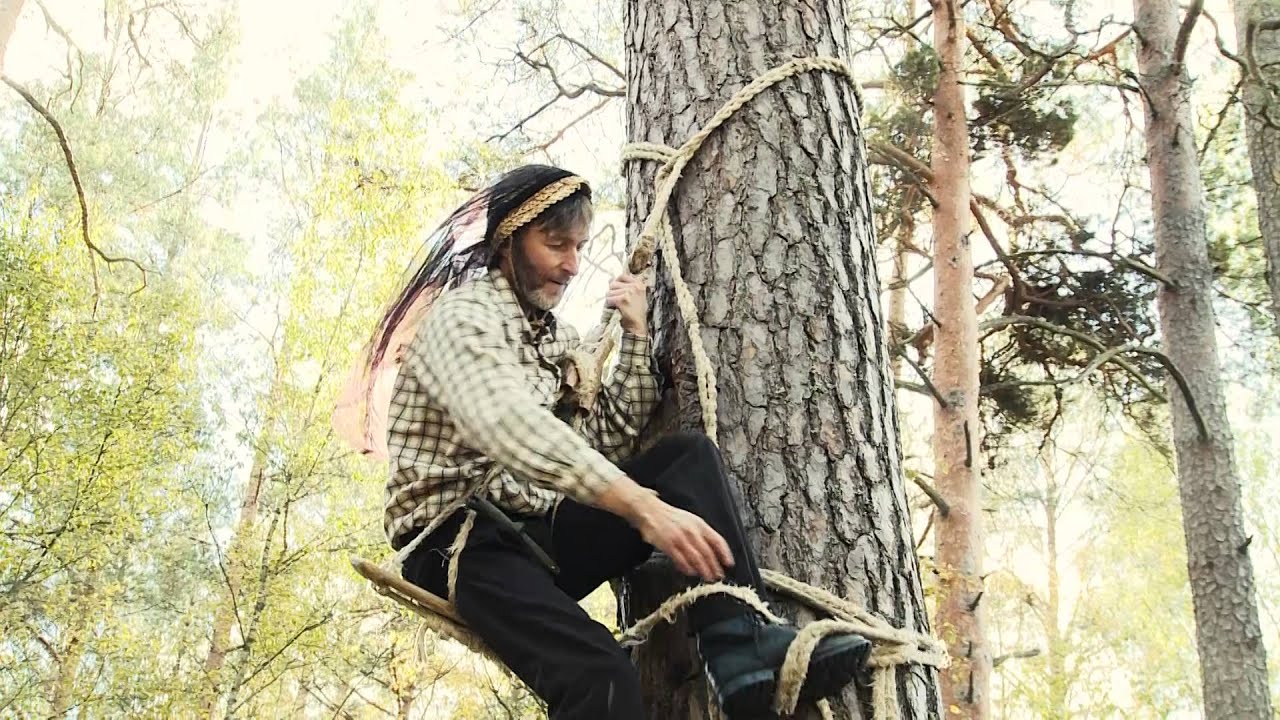 Drevinė bitininkystė
