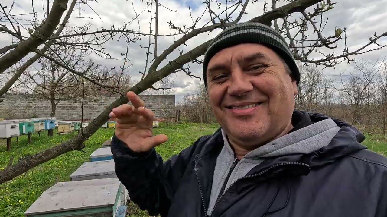 ✅ Замена маток весной, Простой способ! Пасека на связи! #пчеловодство1