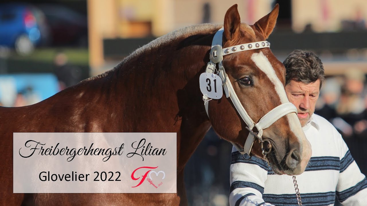 Lilian Glovelier 2022