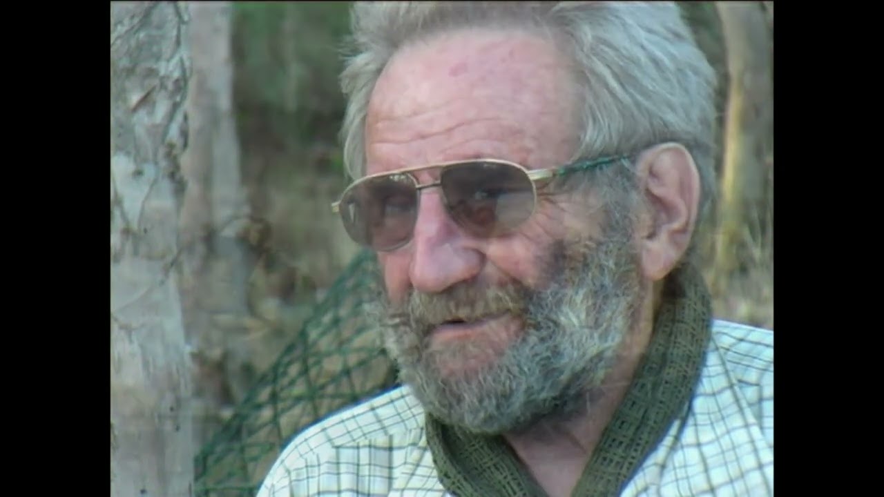 A Sydney-i erdőlakó: Solanovski Zsiga