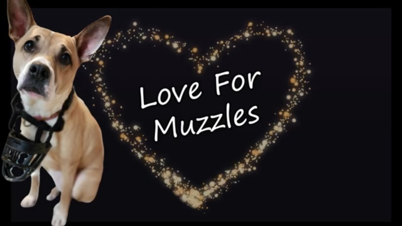 Love for Muzzles