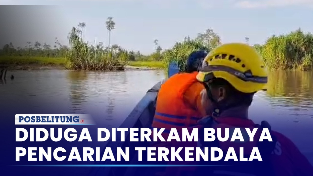 Pencarian Warga Hilang Diduga Diterkam Buaya di Sungai Mendo Gunakan Drone Termal