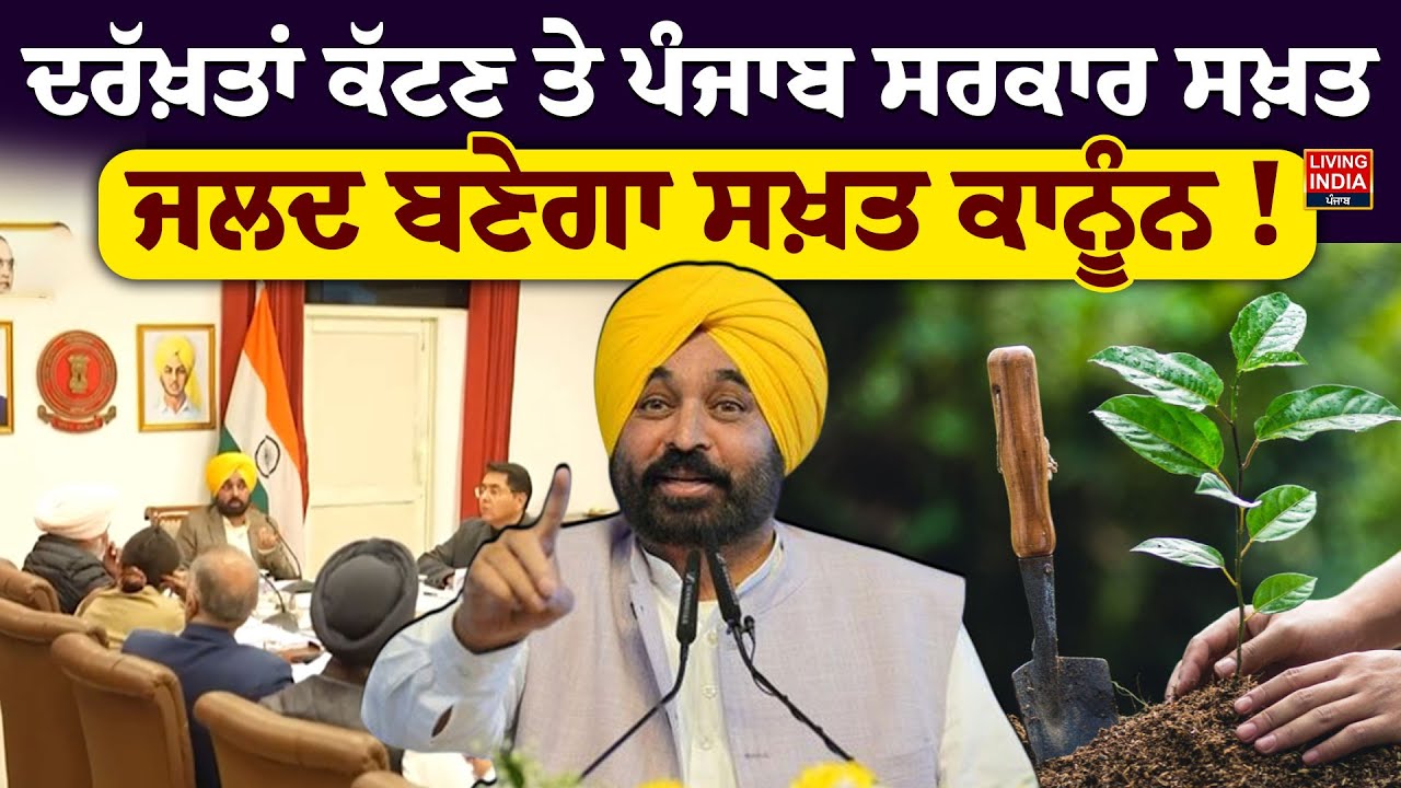 ਦਰੱਖ਼ਤਾਂ ਕੱਟਣ ਤੇ ਪੰਜਾਬ ਸਰਕਾਰ ਸਖ਼ਤ, ਜਲਦ ਬਣੇਗਾ ਸਖ਼ਤ ਕਾਨੂੰਨ ! Punjab Government | Tree Act | Vidhan Sabha