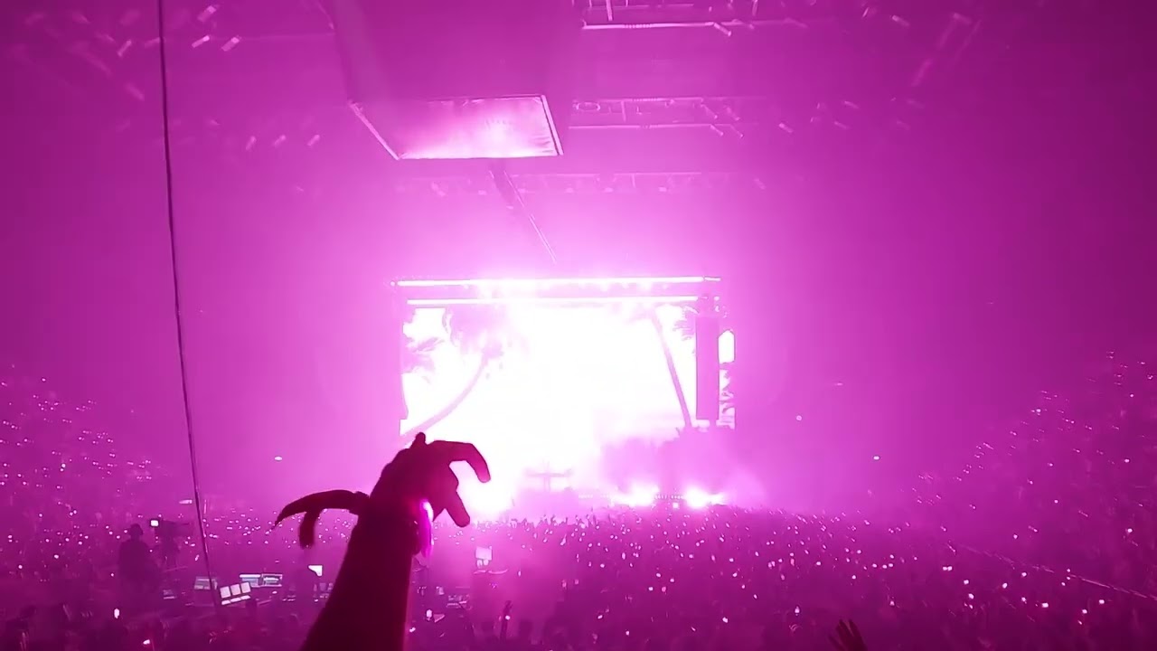 Kygo + Zak Abel - Freedom (Live at Forum Assago - Milano)