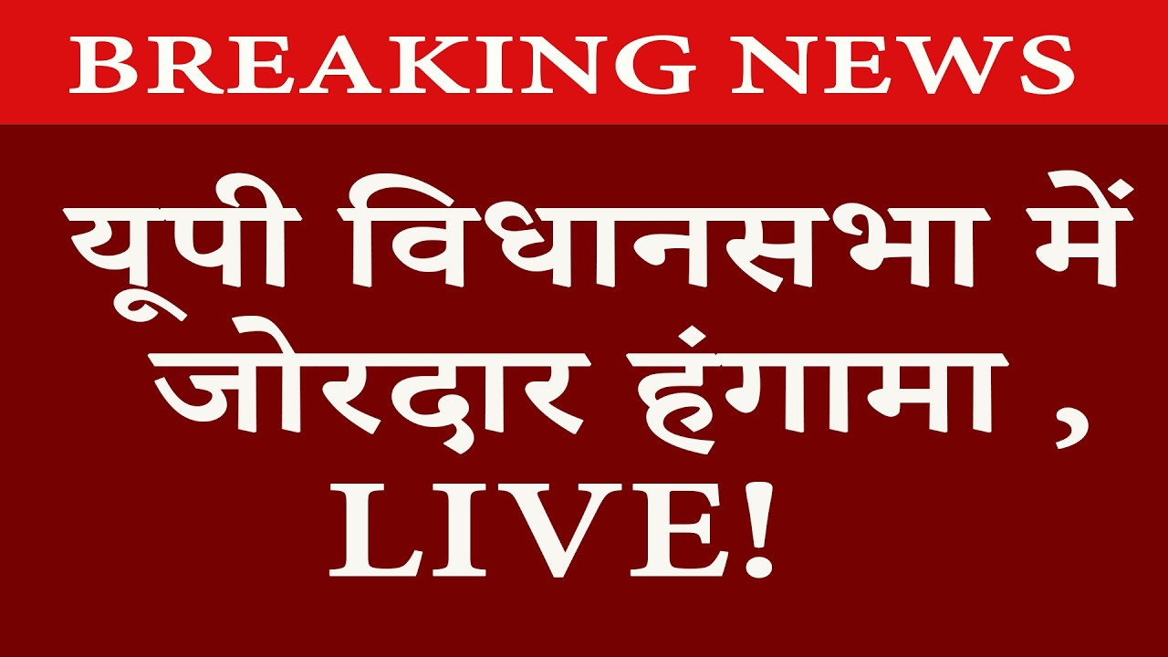 UP Vidhan Sabha Live : यूपी विधानसभा में जोरदार हंगामा , सपा विधायकों ने काटा गदर । CM Yogi