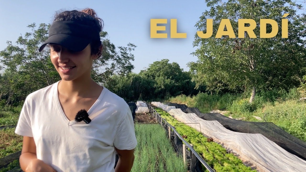 COMO empezamos nuestra HUERTA COMERCIAL