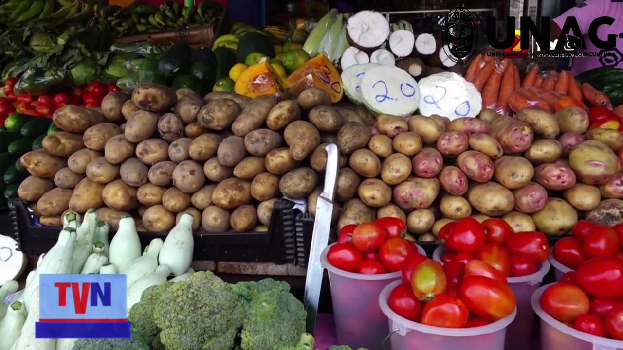 El riego agricola y su importancia en Honduras y el mundo