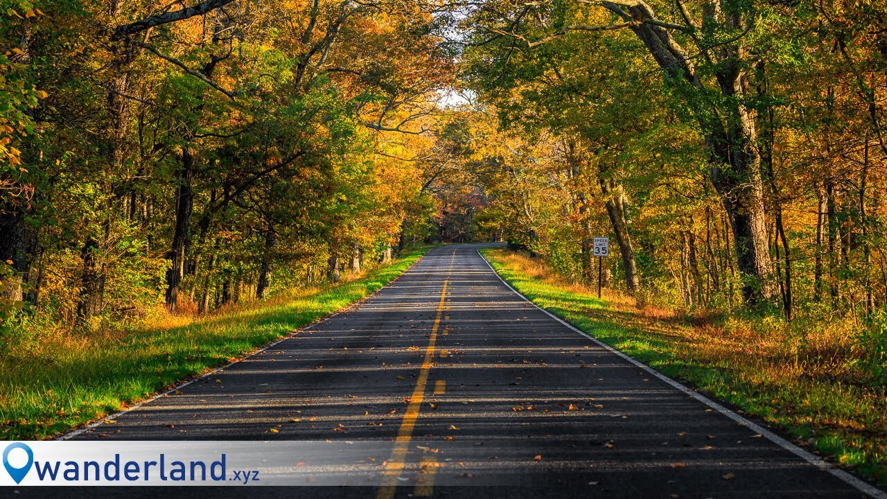 Fall Mountain Wandering Pt I: Shenandoah!