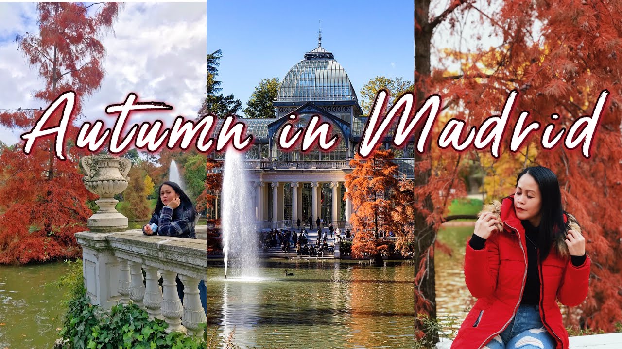 Autumn Season in Madrid , Spain 🇪🇸 | Colorful Madrid | Duck Feeding Day