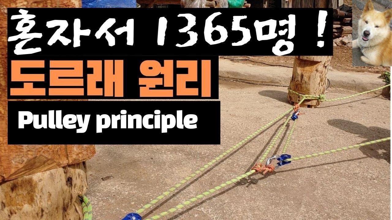 Rope 6 - 혼자서 1365 명(People), pulley principle,도르래원리,움직도르래,복합도르래,도르래시스템,시골공방,wood wood