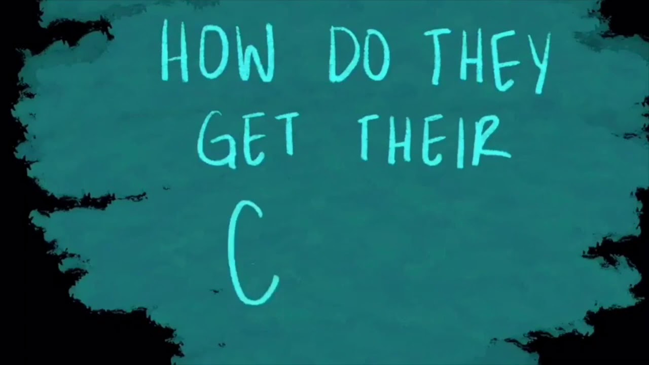 Bioluminescent Fungi