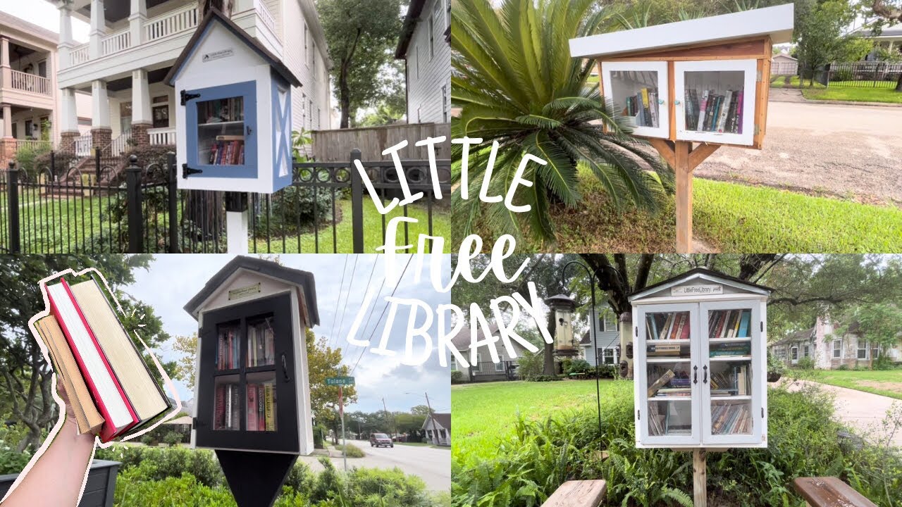 📚Little Free Library Vlog & Haul📚
