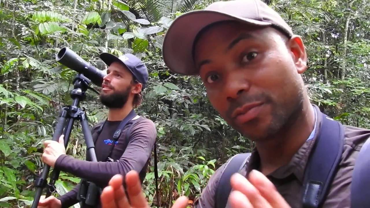 The Birding Experience Suriname