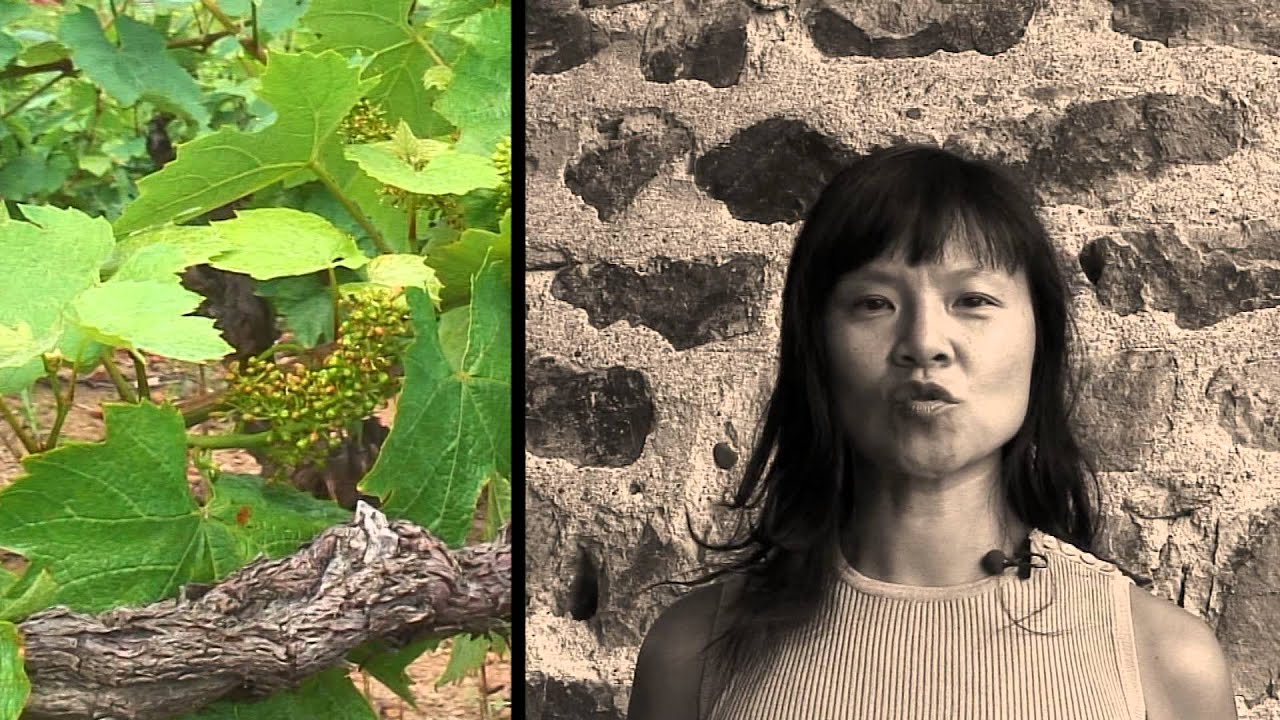 PRESENTATION DOMAINE MEE GODARD 2015 - ENGLISH