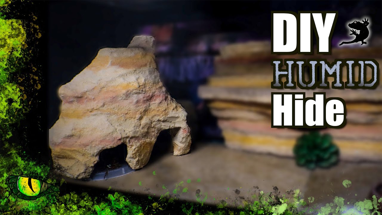 DIY Humid Hide! | Reptilian Den