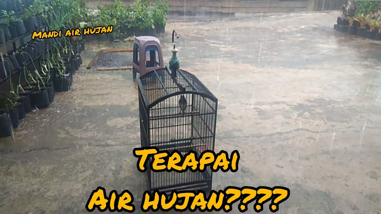 AGAR KACER BONGKAR MATERI.