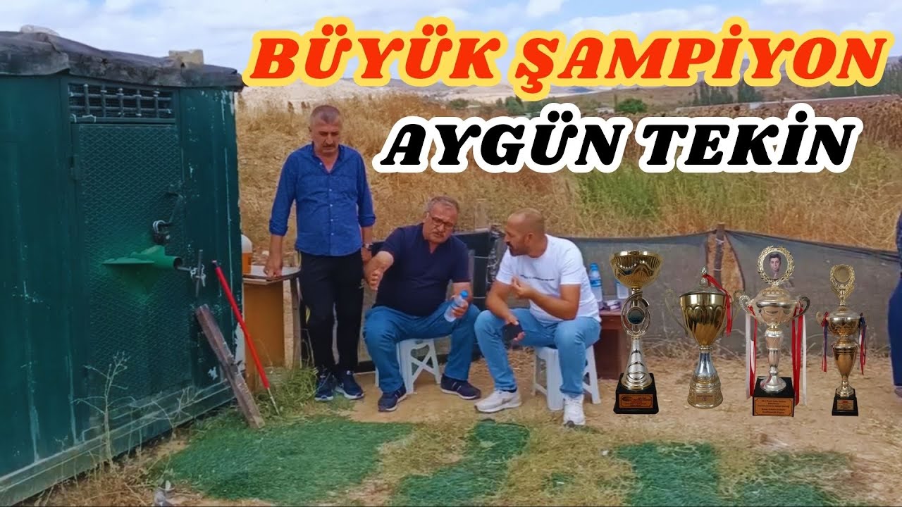 2 Yıl Bekledim Ben Bu Kuşları Şampiyon Kuşlar Aygün Tekin