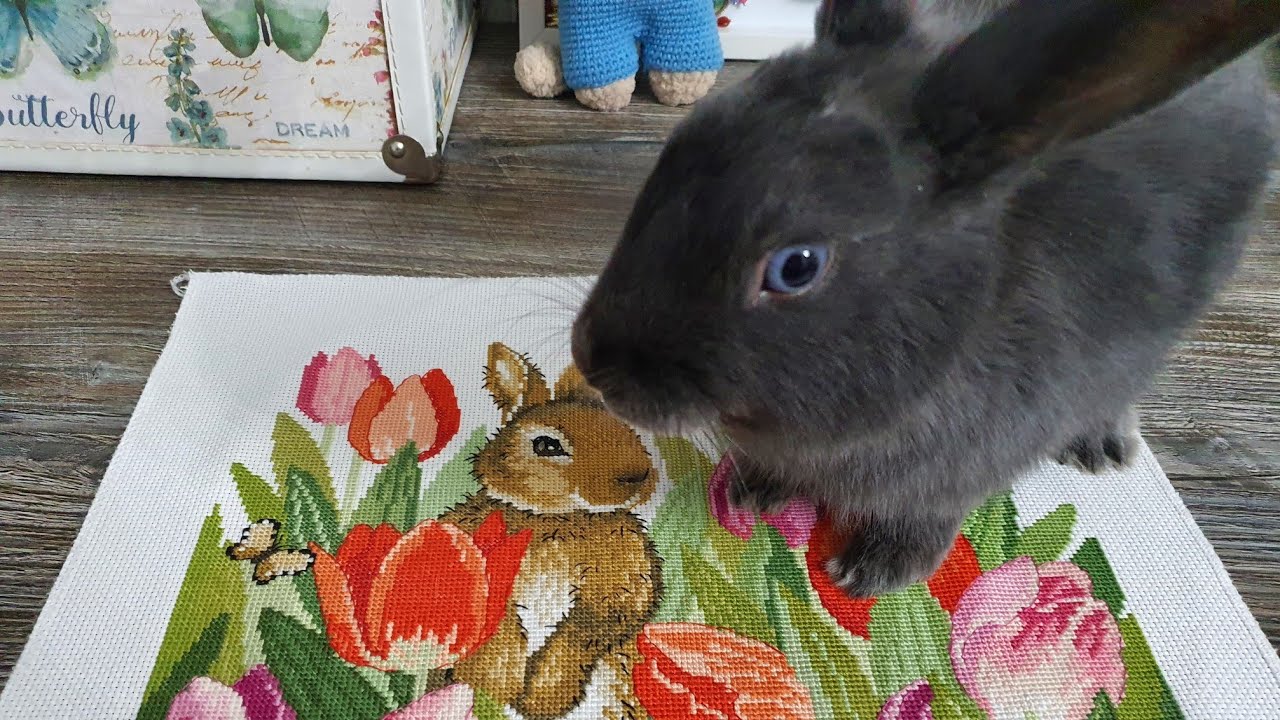 Вышивальные итоги 2022: 27 вышитых наборов!)) Приветы от Мистера Лютика!!!)))🐰