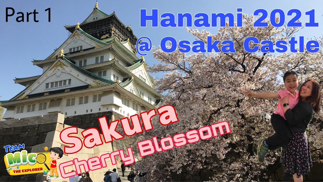 Hanami 2021 at Osaka Castle | Sakura - Cherry Blossom viewing | Japan Spring | Virtual tour (Part 1)