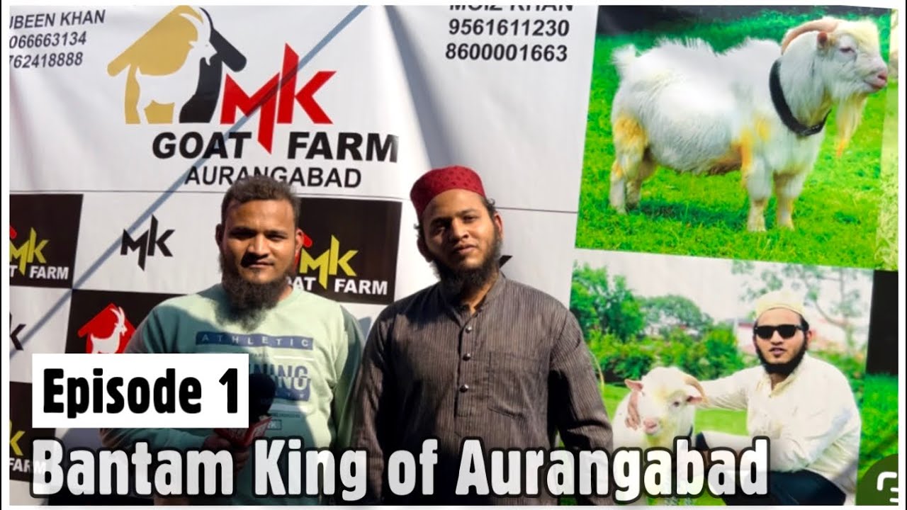 Aurangabad Series Ep. 1 | MK Goat Farm’s Premium Bantam Breeding Setup
