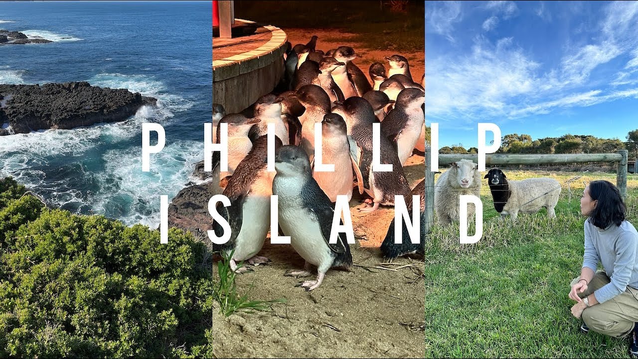 Phillip Island, Australia | 2 Days of Travel | Vlog
