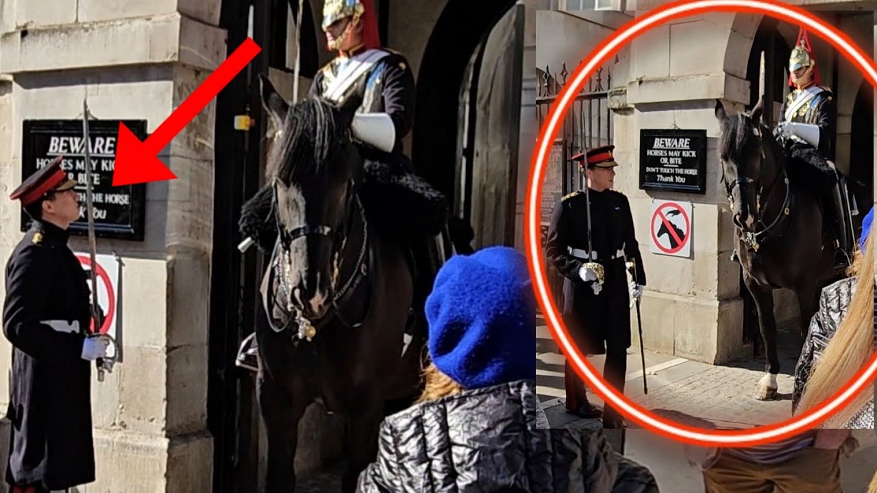 Handsome CAPTAIN checks on Horse Guard Early Morning
