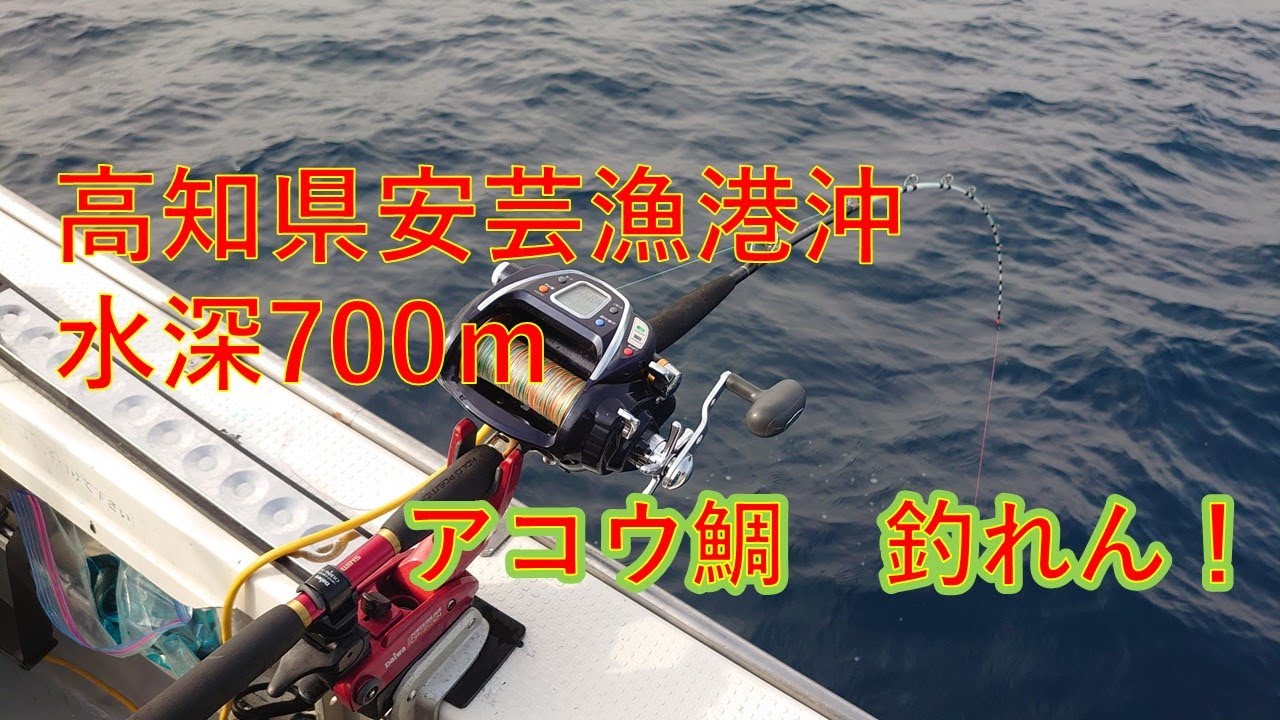 高知県安芸市アコウ鯛釣り