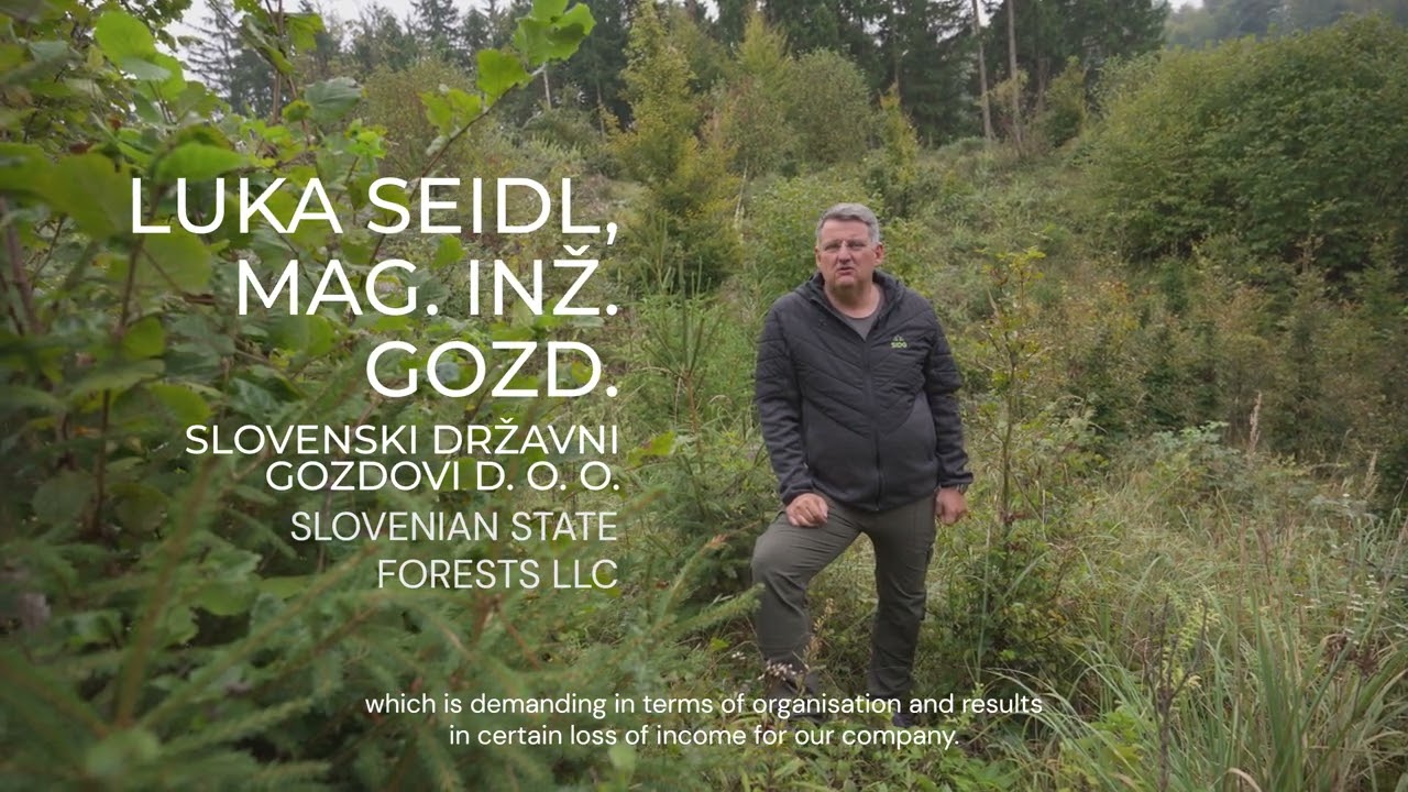 LEARNFORCLIMATE 4K - documentary on the impact of climate change on forests