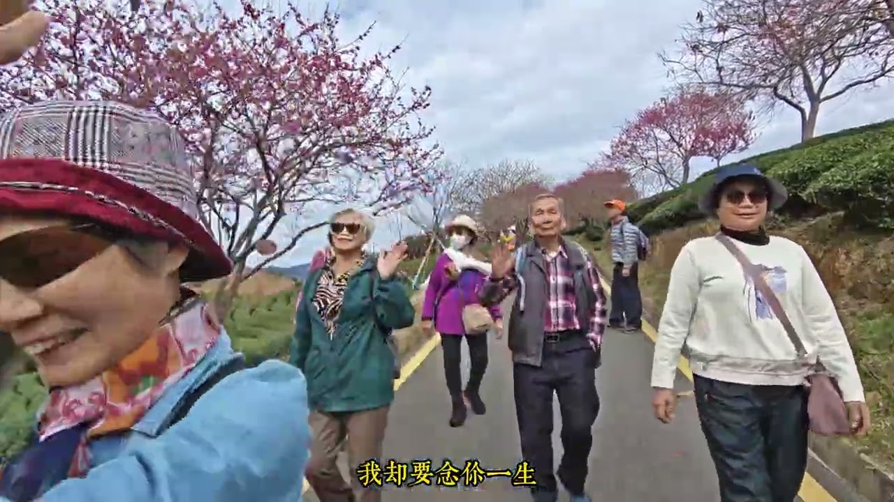 冠豸山自由行4 龍崆洞 永福台品櫻花園 埭美古鎮