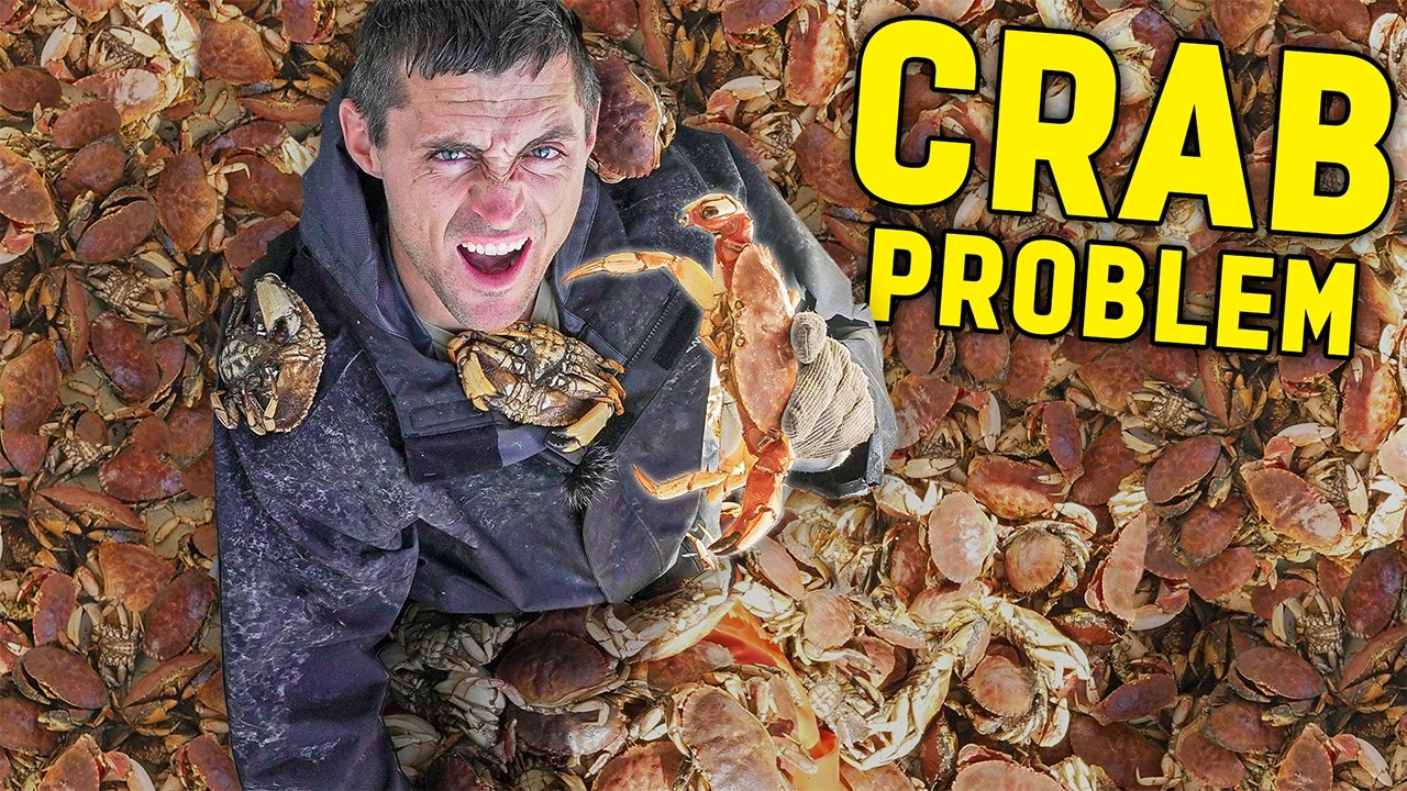 I ACCIDENTALLY caught 12,000 crabs (While Lobstering)