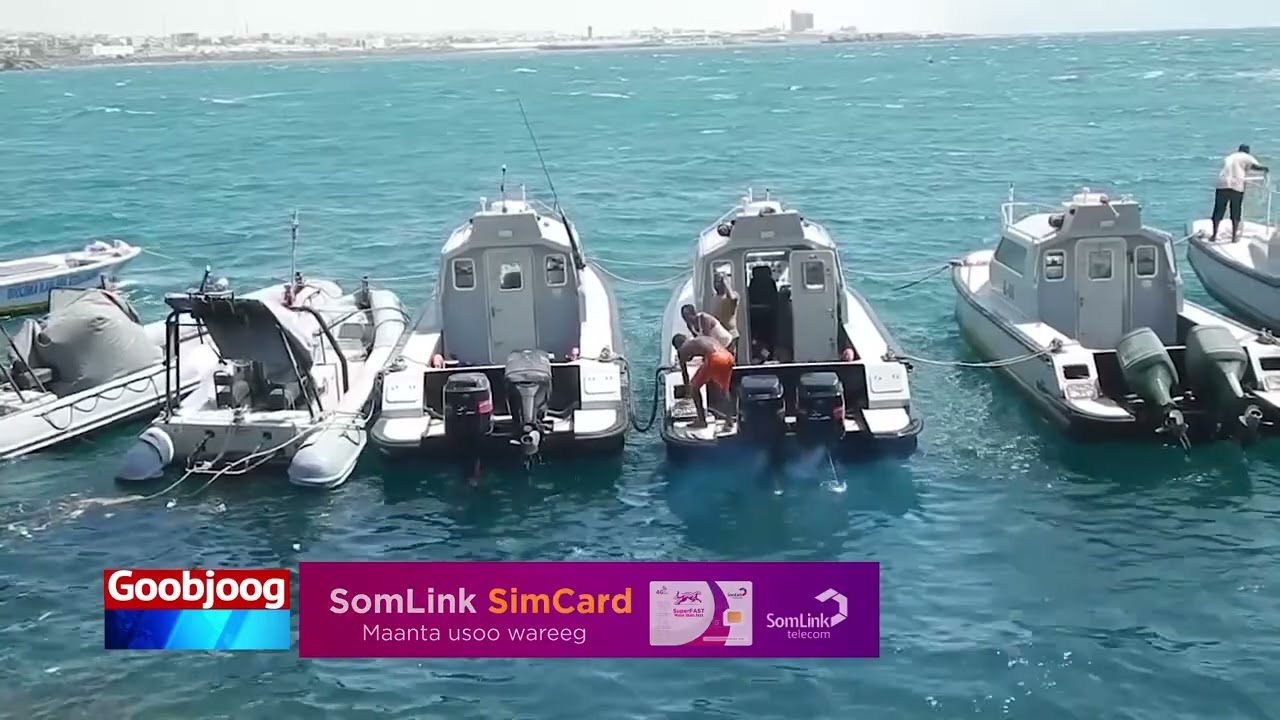 Что вам известно об истории сомалийского военно-морского флота?