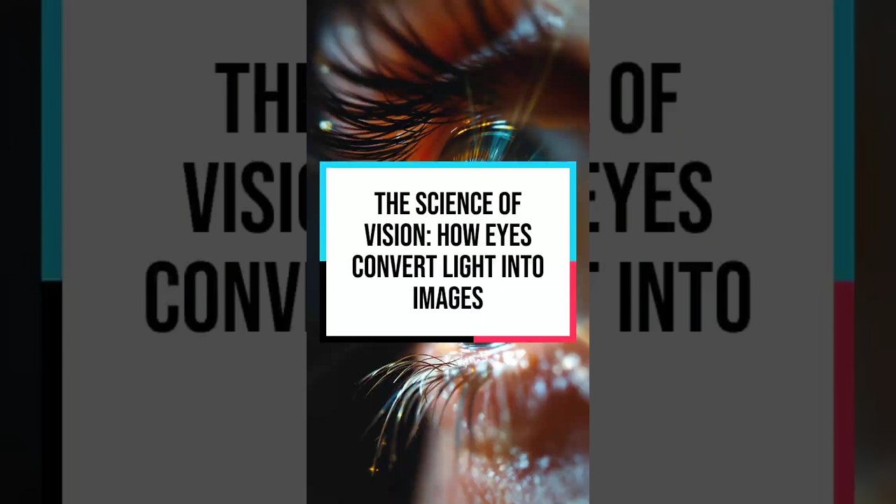 The Science of Vision: How Eyes Convert Light into Images