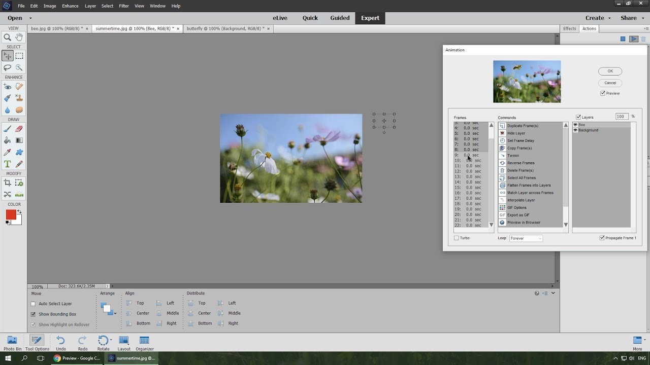 Кадровая анимация с PSE 15+ и Elements+