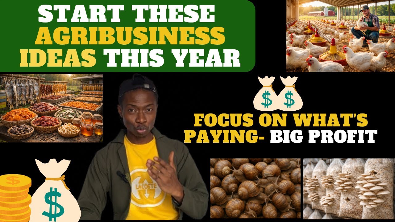 Profitable agribusiness ideas you can start with low capital 
