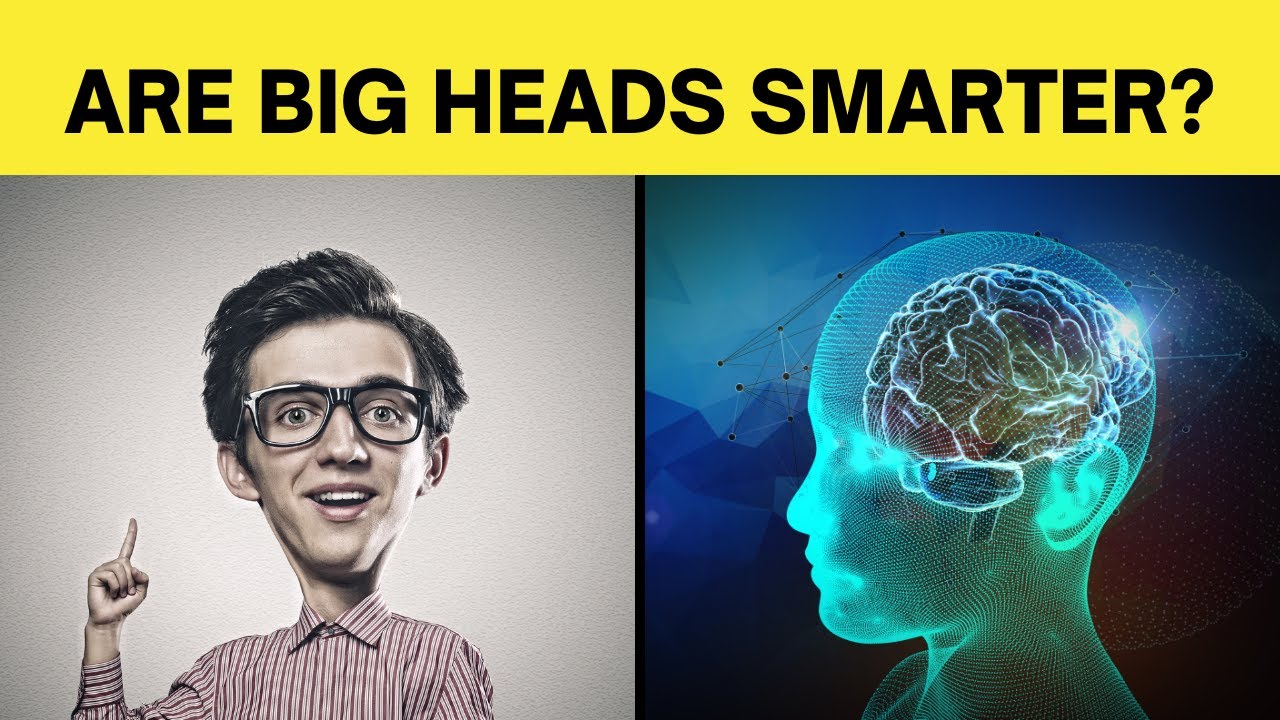 People with BIG HEADS - Are they really smarter??