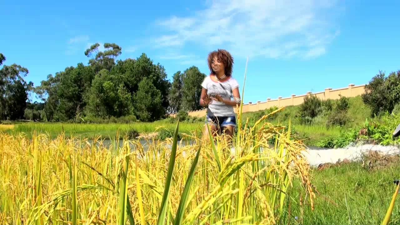 SISCA - DORIA HD