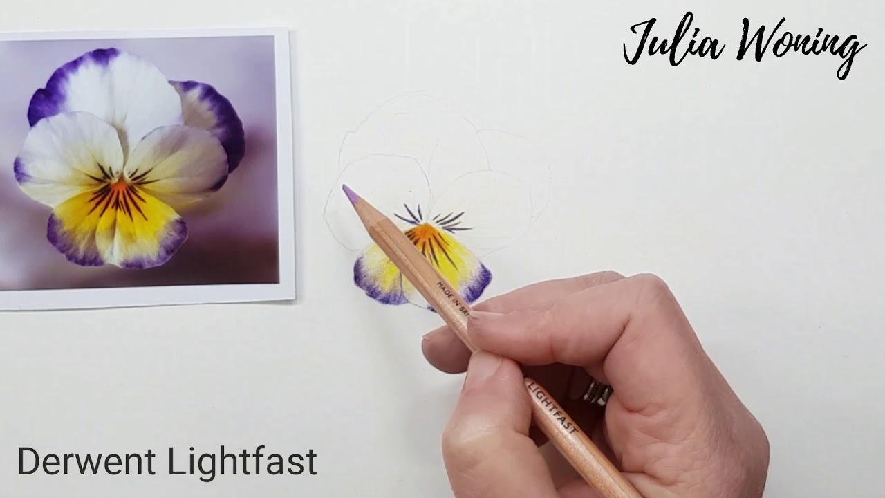 Flower in Derwent Lightfast by Julia Woning