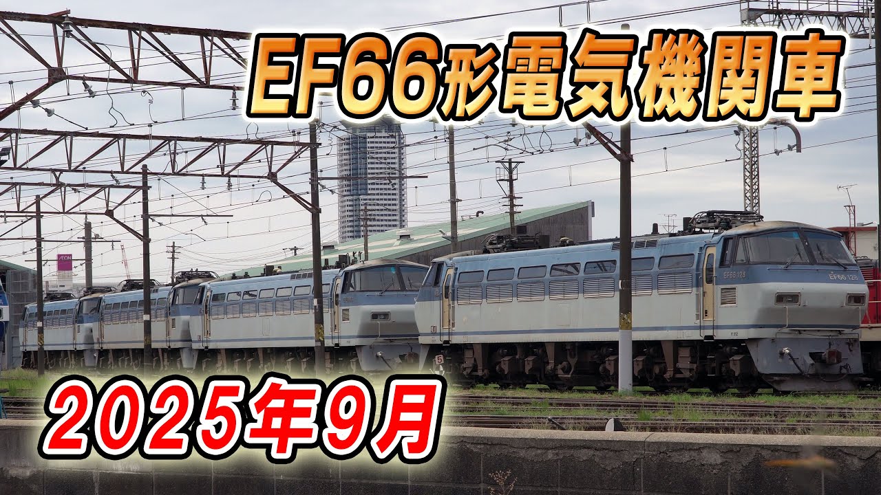 【貨物列車】EF66 100番台の現在　2025年9月