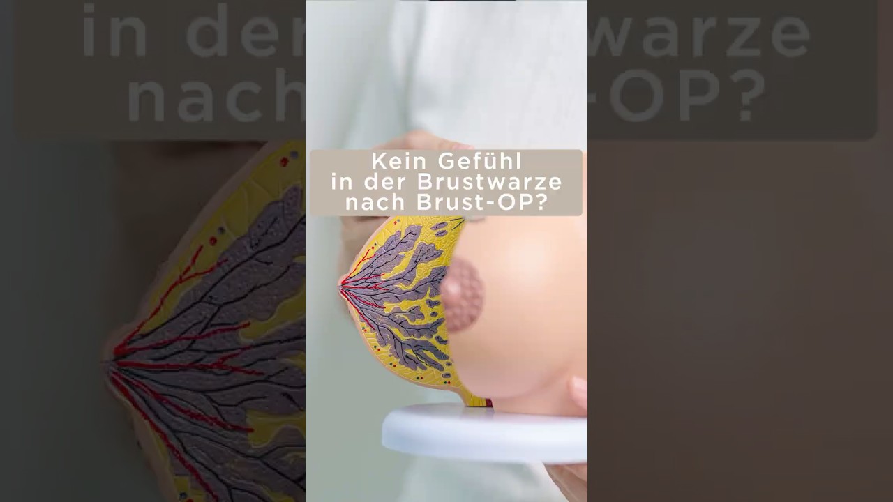 𝗠𝘆𝘁𝗵𝗼𝘀:Nach einer Brustvergrößerung verliert man das Gefühl in den Brustwarzen. 