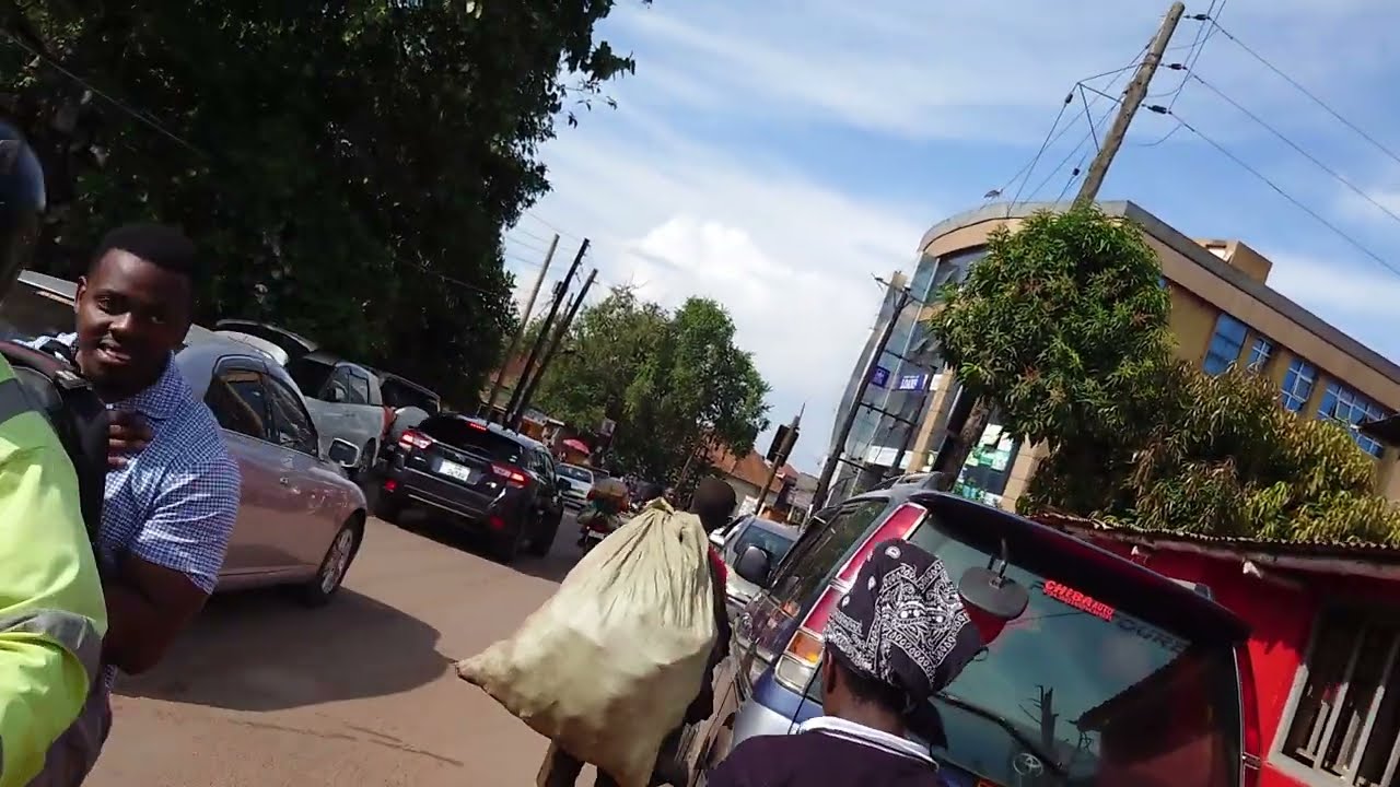 Earth Man and Air: Euphoric ride through Africans Harvard's nature: Makerere University Uganda