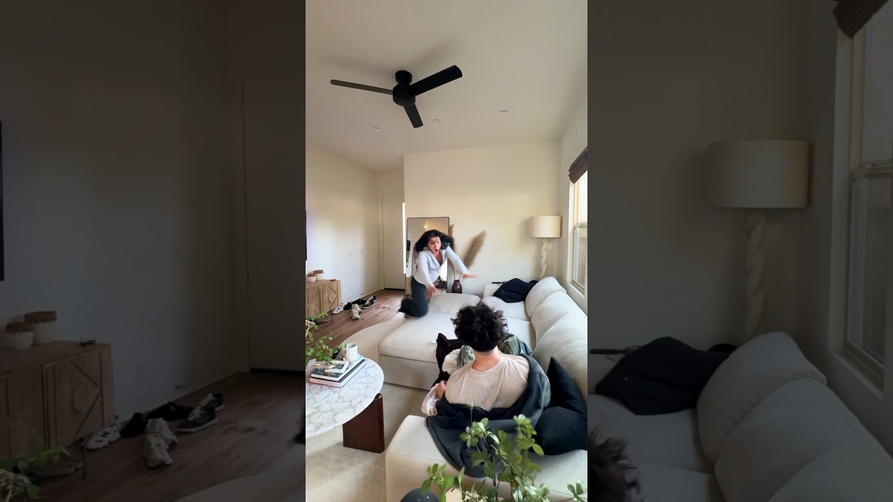 I crushed my sister&lsquo;s cat ￼😂