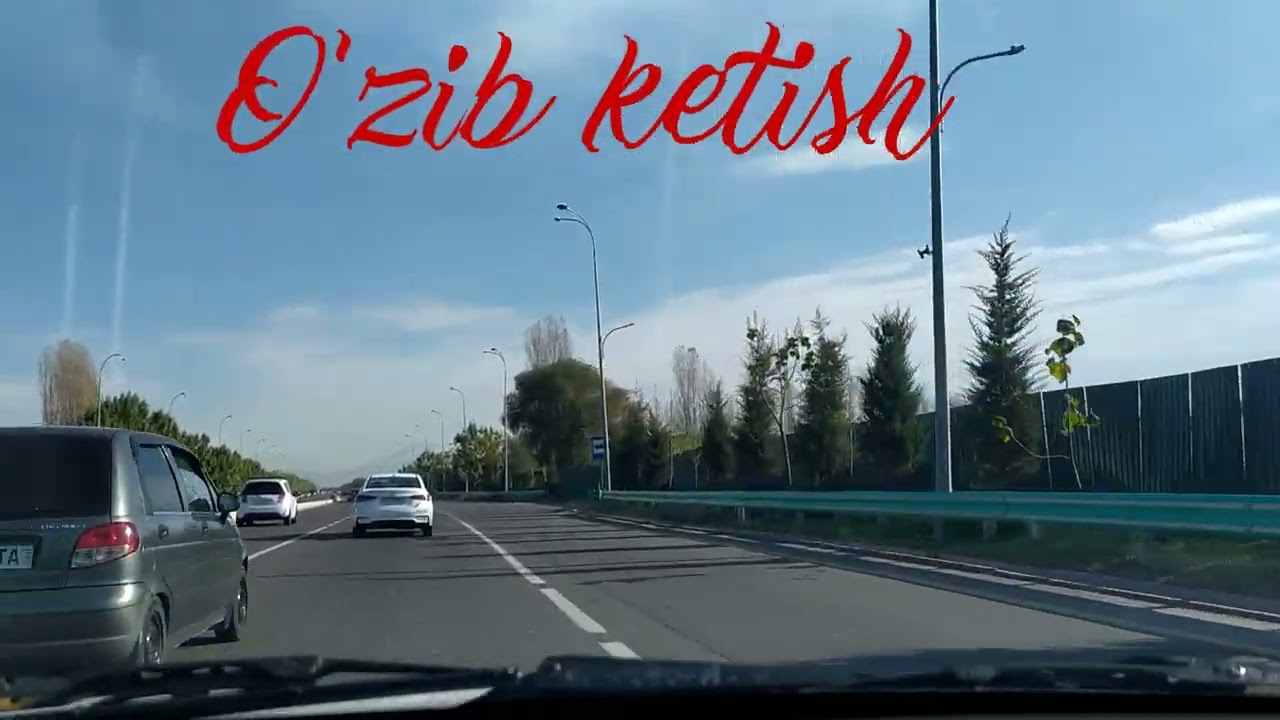 O'zib ketish