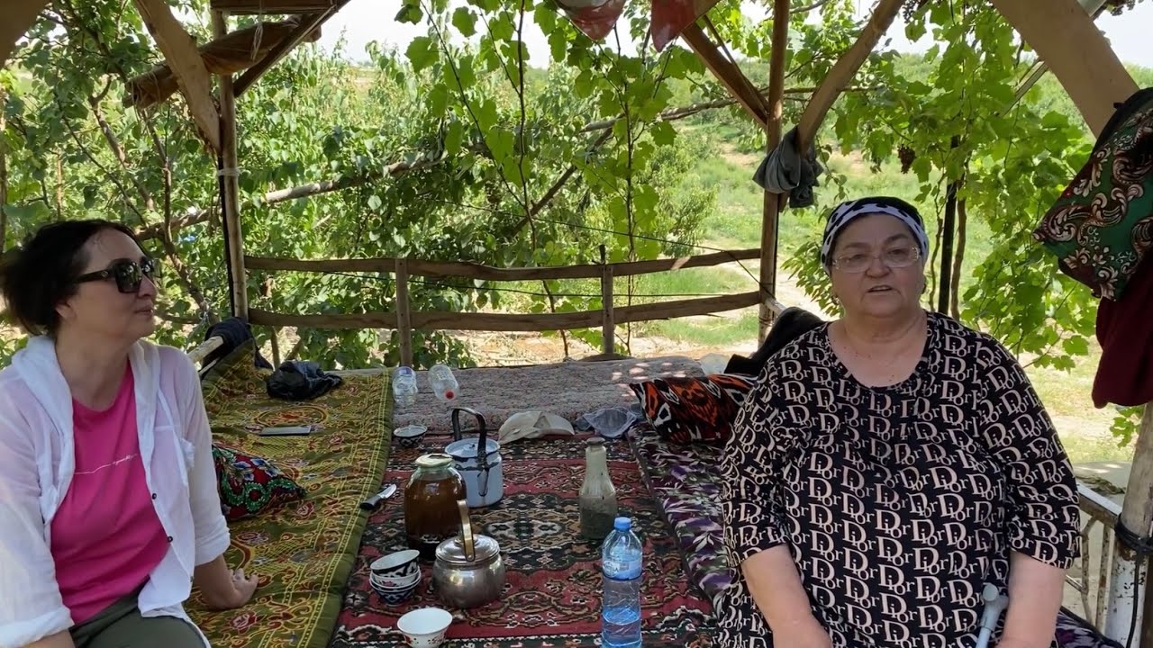 Узбекистан! Пригласили в персиковый сад, собираем персики, жарко, поехали на ипподром