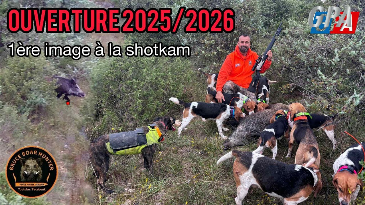CHASSE SANGLIER : Ouverture 2025/2026 1ère vidéo avec la Shotkam
