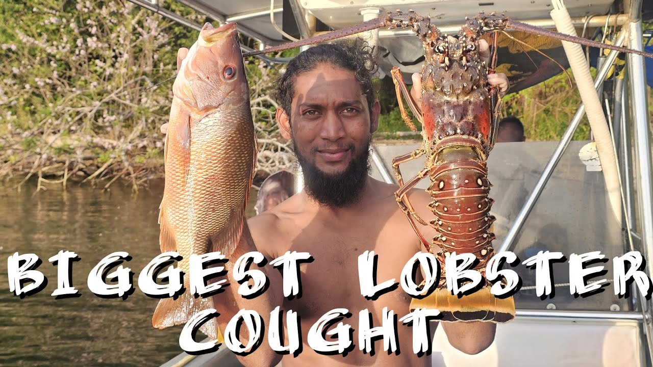 Diving For Lobster North Trinidad | First Dive for 2026 On The TruLee | Catch & Cook with Wifey